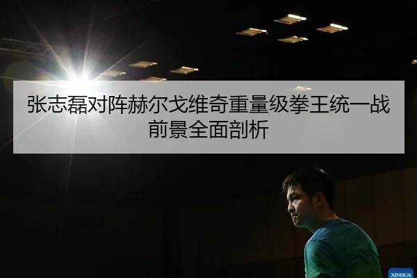 张志磊对阵赫尔戈维奇重量级拳王统一战前景全面剖析